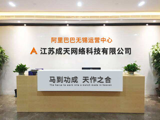 無錫阿里巴巴運(yùn)營 網(wǎng)絡(luò)技術(shù)服務(wù)的創(chuàng)新與實(shí)踐